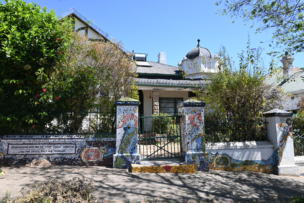 DSC 7081