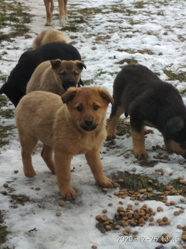 изображение_viber_2020-12-25_13-59-26