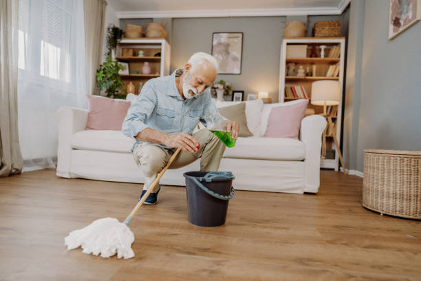 Home Cleaning West LA