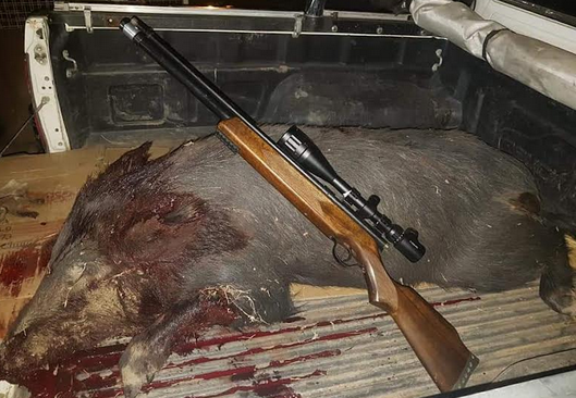 RIFLEMOGGIACERTEROJABALI