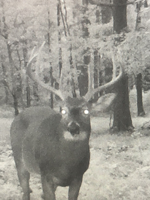 19685F5F-6F27-446F-9E7D-DE9810C232E5