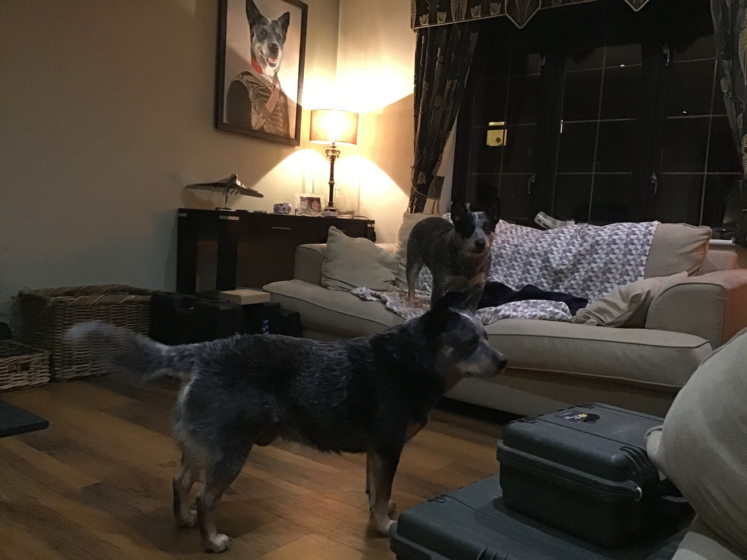 4E8D71F4-CC40-4F12-89BE-9F3C3363092E