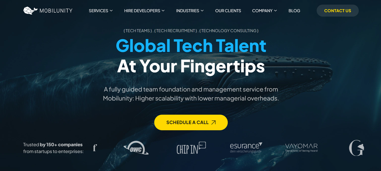 WordPress Development Company Mobilunity