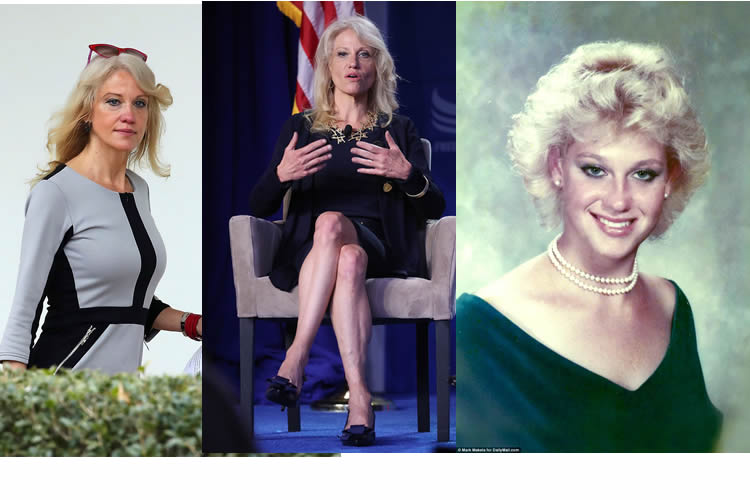 Kellyanne Conway 's Career