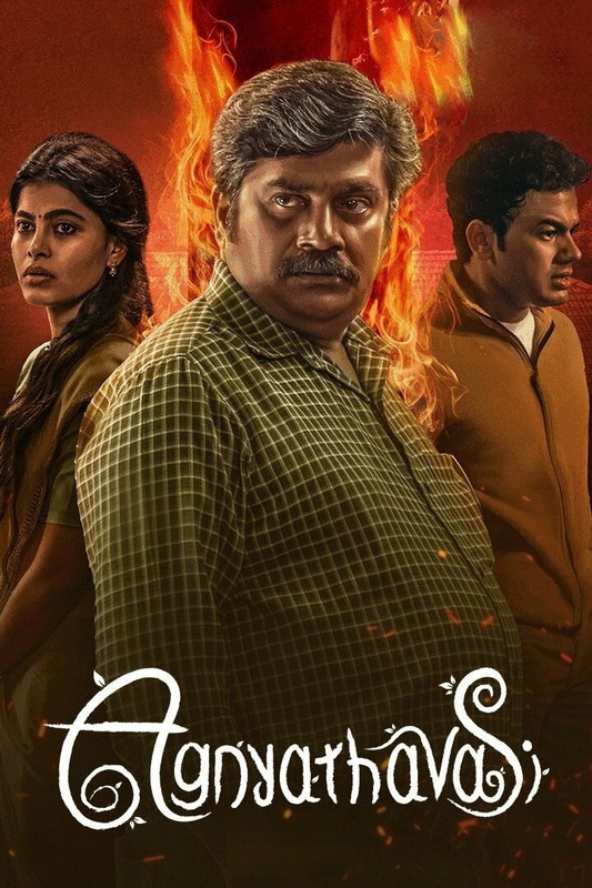 Agnyathavasi (2025) [Hindi-Kannada]