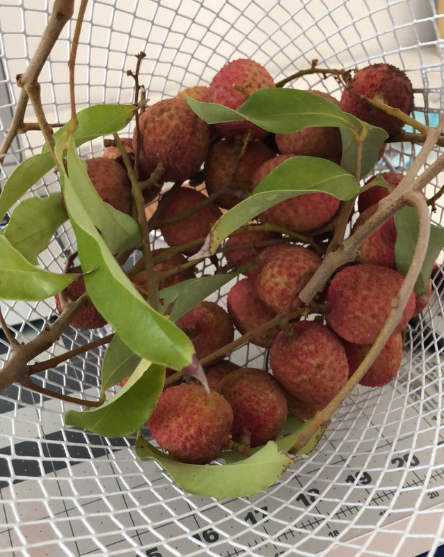 16CB6545-BB57-47DD-9E6F-E3FAF795BE55