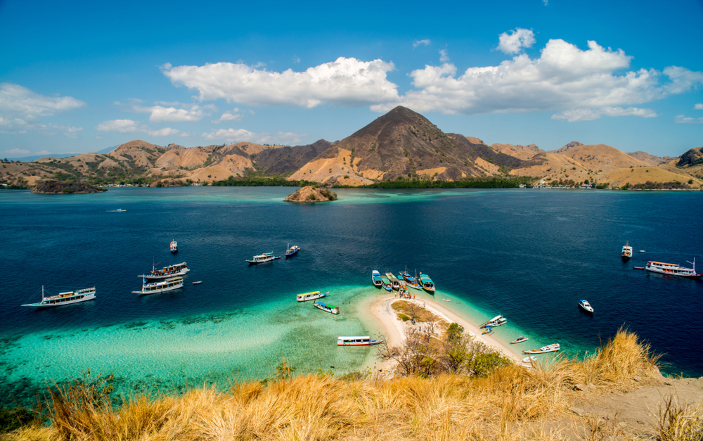 komodo Komodo