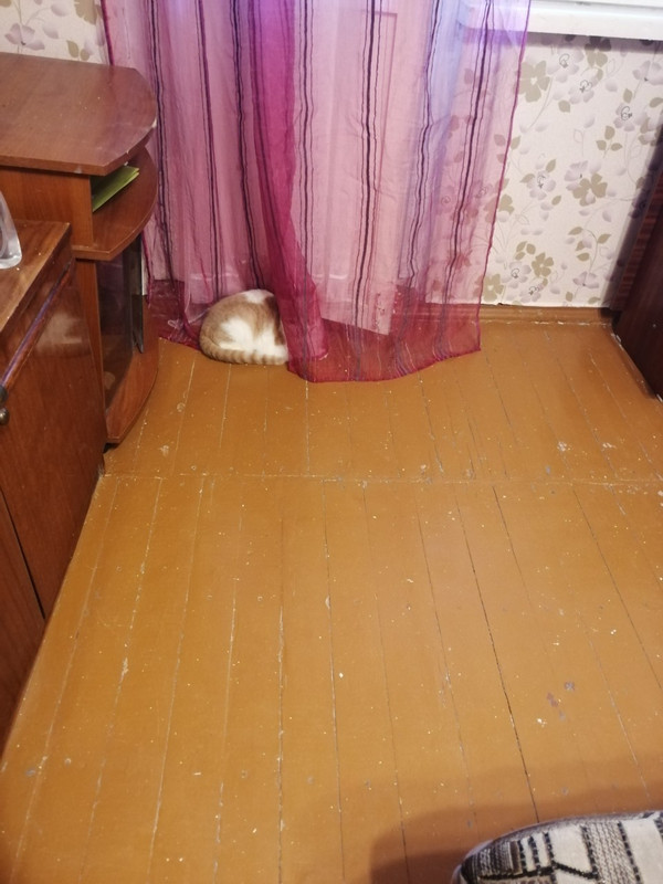 Буся у юли 5