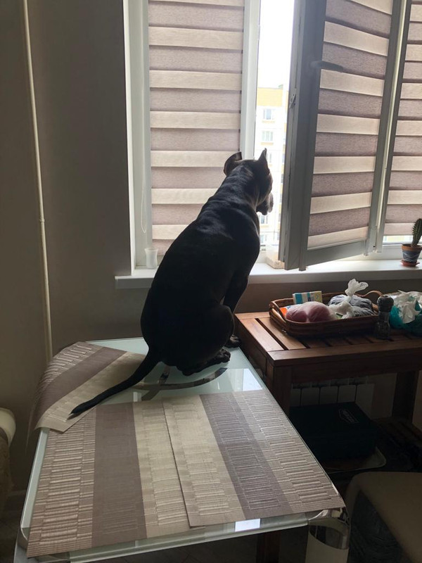 6C56235F-E765-441F-9CC9-4B130AE2E373