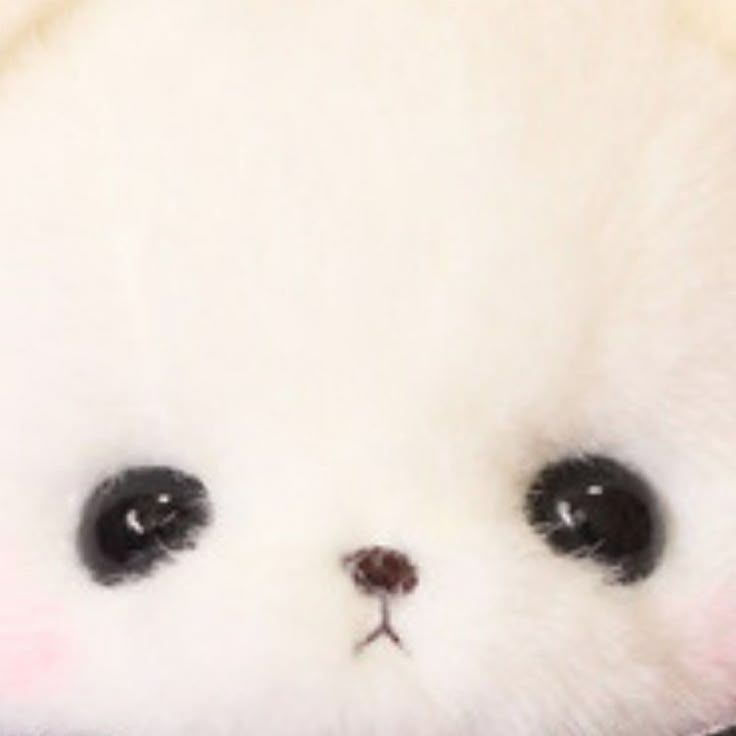 Mascot