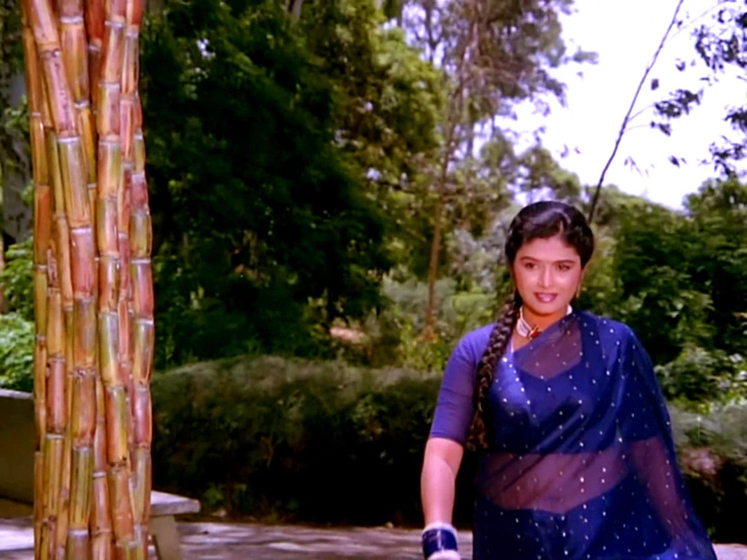 vlcsnap-2022-08-13-20h56m19s592