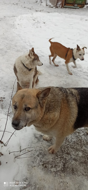 4A6D70A9-130A-495F-A0F3-289A0928CAFD