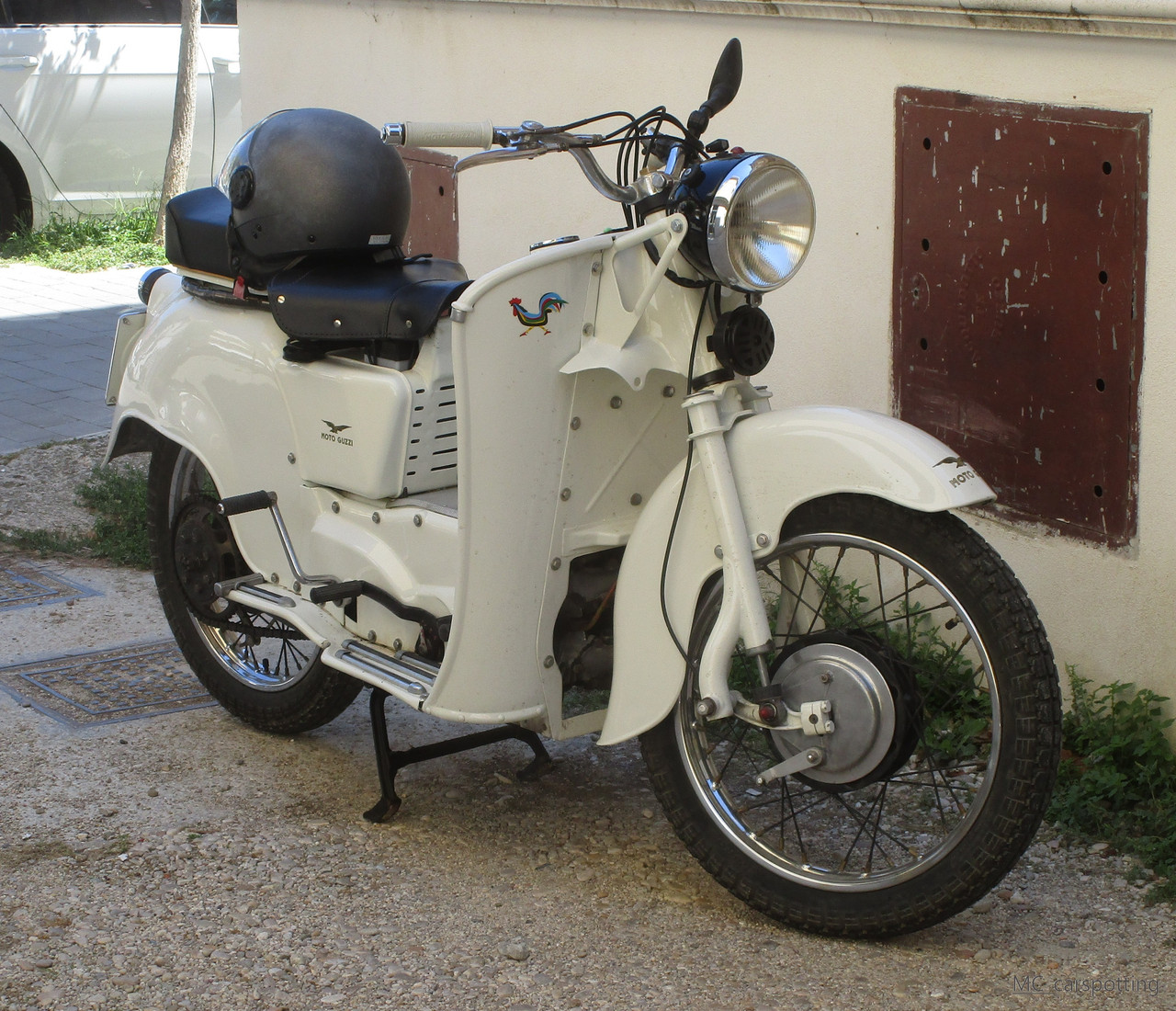 IMG-8879.jpg