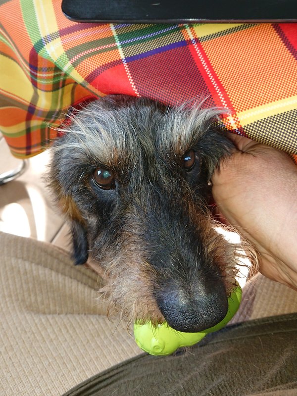 [Image: DSC-2683.jpg]