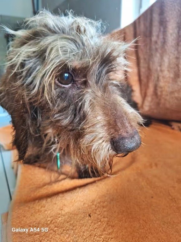 [Image: 20240930-113458.jpg]