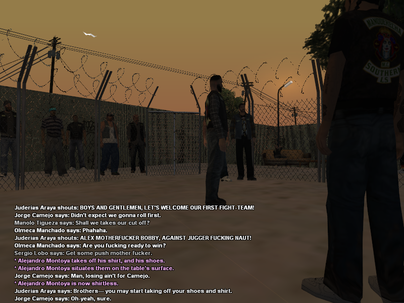 SSRoleplay1283.png