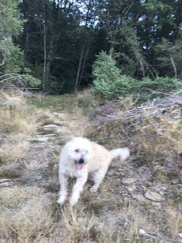 26998EA4-E1D0-4DF1-9362-F93701A21BEB