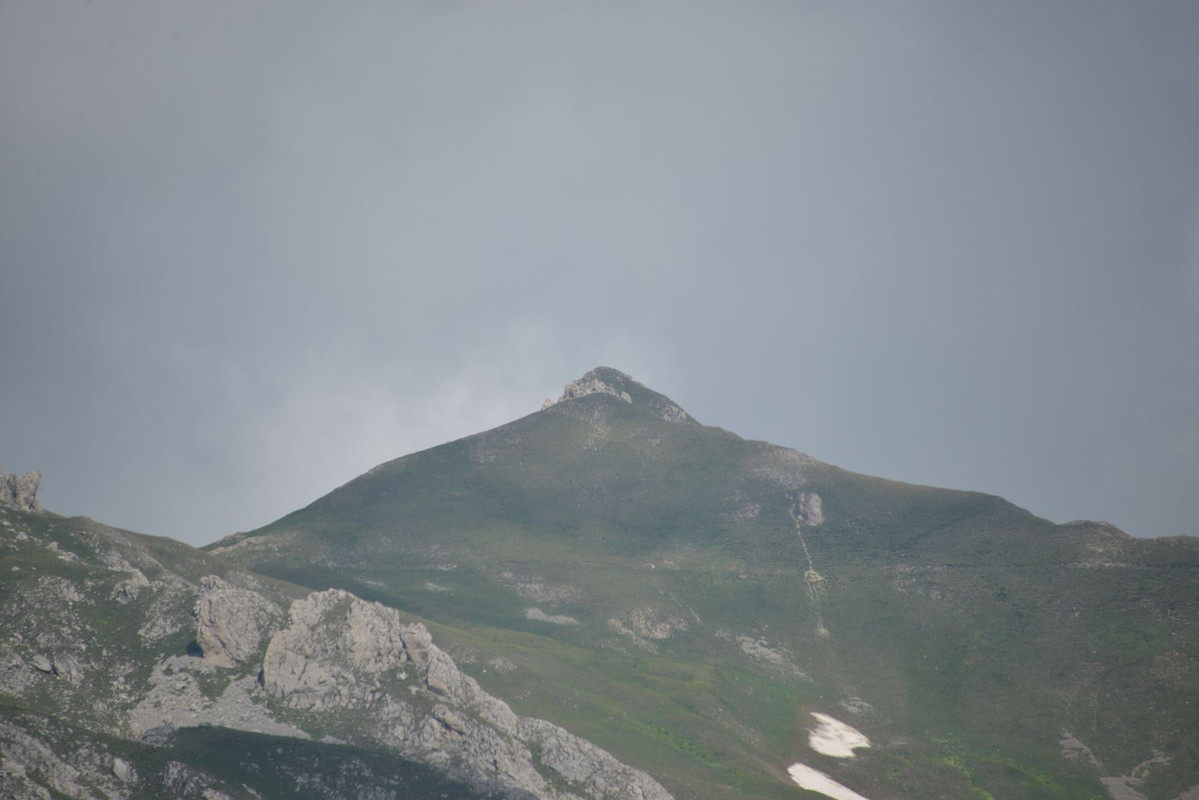 DSC-9491.jpg