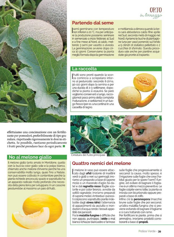 Pol Ver Lug 2021 (8)