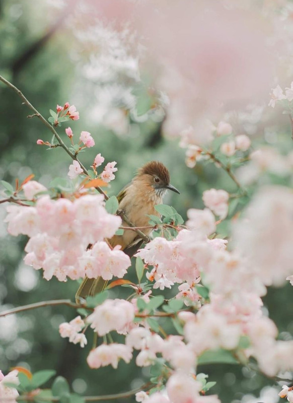 Screenshot_20240506_220604_Pinterest