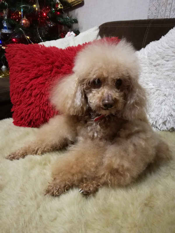 B7A7999F-C0D1-4DF1-A3A2-DF3C358F32A3