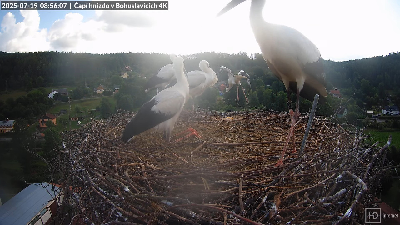 Živě z čapího komína firmy KARA v Bohuslavicích u Trutnova 12-12-11 screenshot