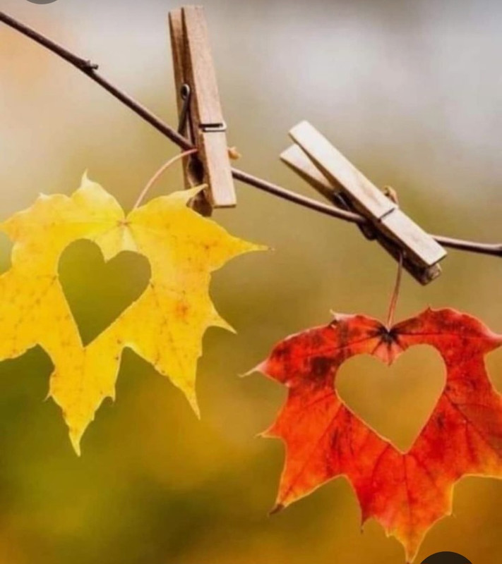 Screenshot_20240210_222011_Pinterest