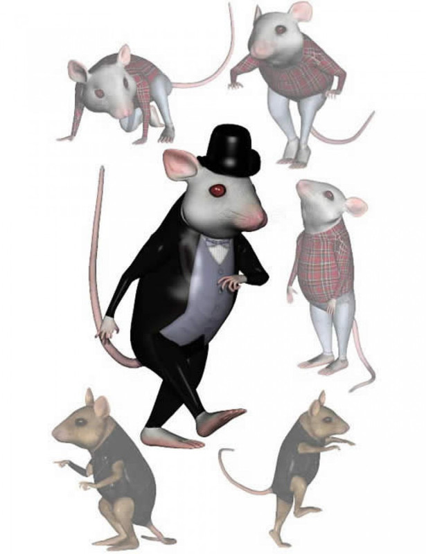 House Mouse’s Poses