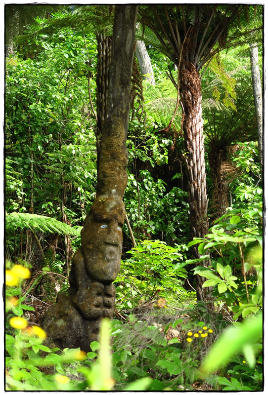 Escapadas y rutas por la Nueva Zelanda menos conocida - Blogs de Nueva Zelanda - Escapada a Picton (diciembre 2017): Queen Charlotte Track (10)