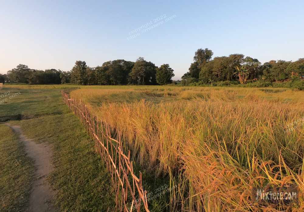 BBG&B16GuwahatiToTezpur - 11