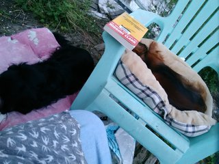 [Image: IMG-20210722-211038.jpg]