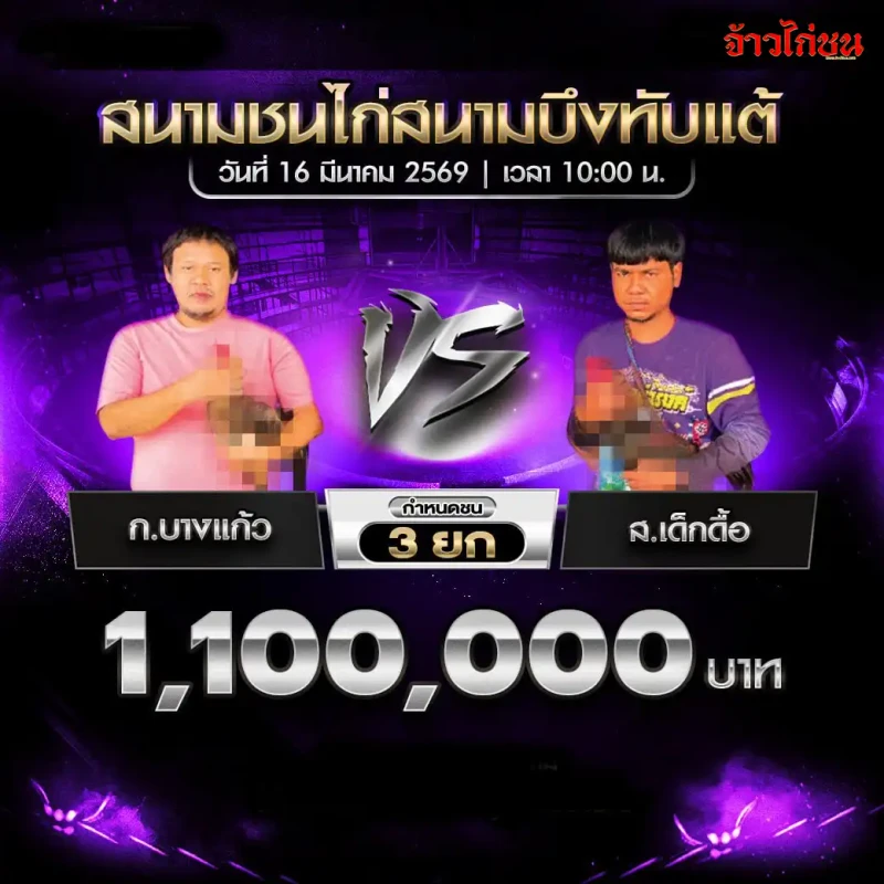 โปรแกรมไก่ชน คู่ที่ 3 ก.บางแก้ว พบ ส.เด็กดื้อ สนามชนไก่บึงทับแต้