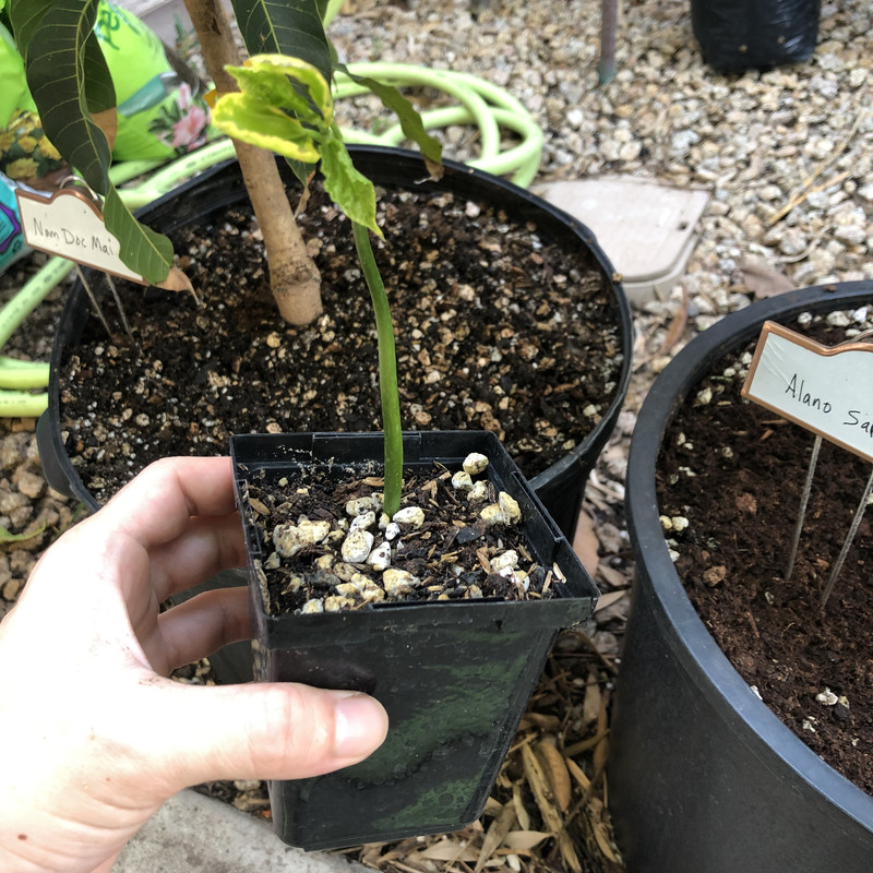 8DAFF5A3-D5AD-4338-80B1-2E48F2320A0C