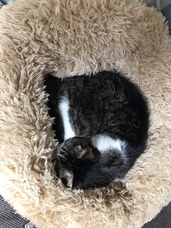 1682FD33-3FA1-4DAA-96C8-0C6E1CA4ADE4