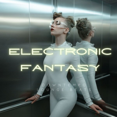 VA - Electronic Fantasy (Downtempo Lounge Beats) (2023)
