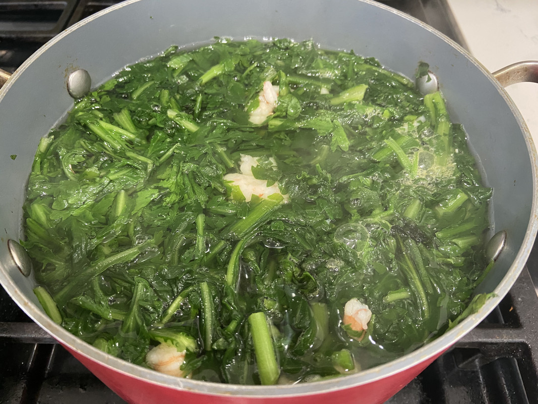 C8135355-A728-4F9A-9D9A-90B899A69CEC