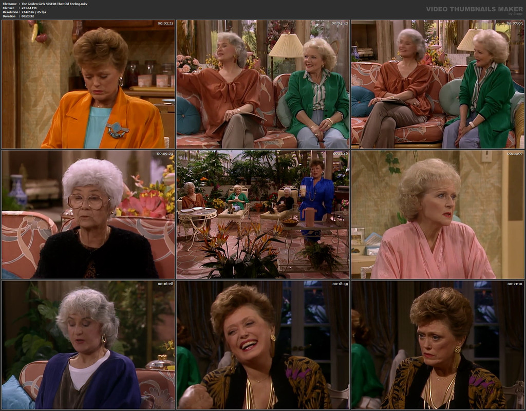 The Golden Girls S05E08 That Old Feeling.mkv