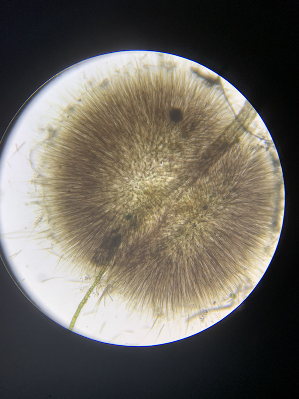 C2AF390C-818D-42ED-997C-8E40A3875B40