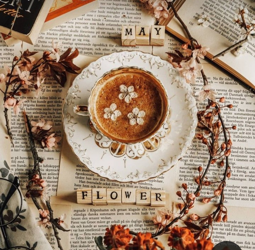 Screenshot_20230330_002137_Pinterest