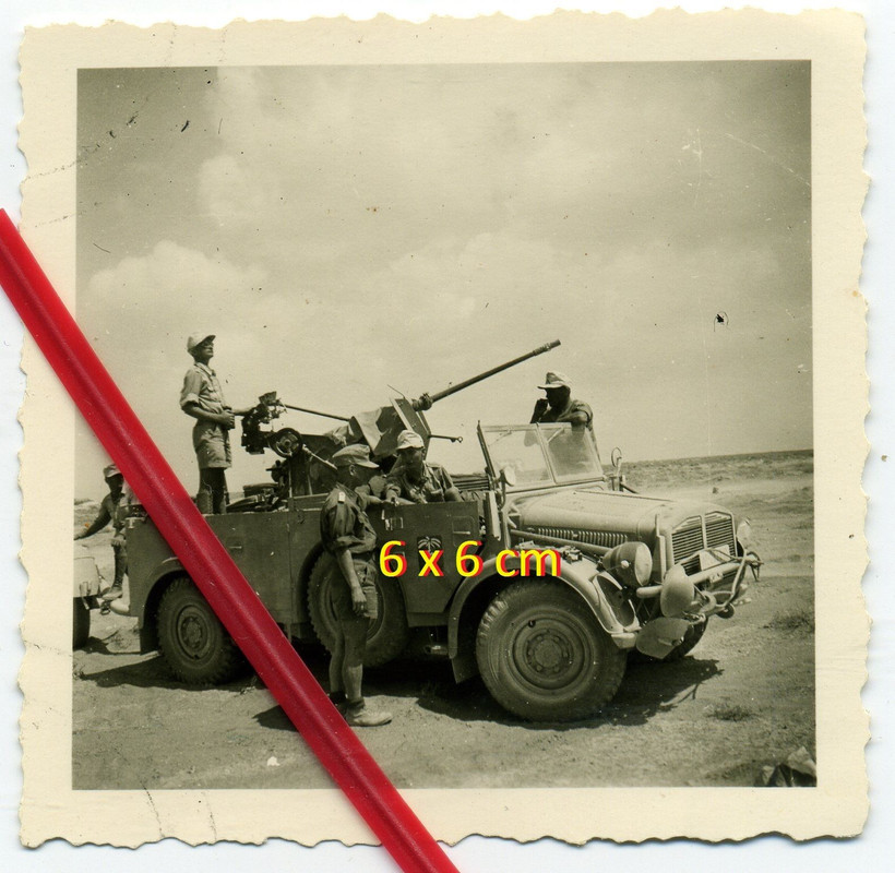 Foto Afrika LW Kfz schwerer Einheits Kübel Horch mit Flak Aufbau & Wappen Palme