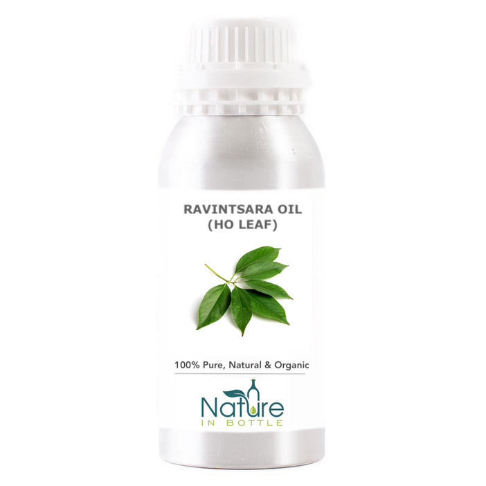 Ravintsara Essential Oil Organic Ho Leaf Oil Madagascar