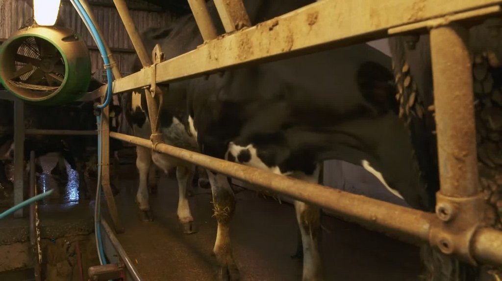 [Image: 79oig0jep2ov.jpg]