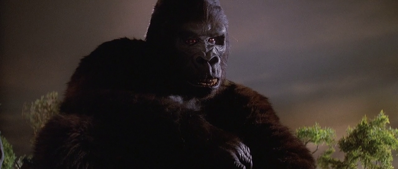 vlcsnap 2026 03 23 19h29m58s387