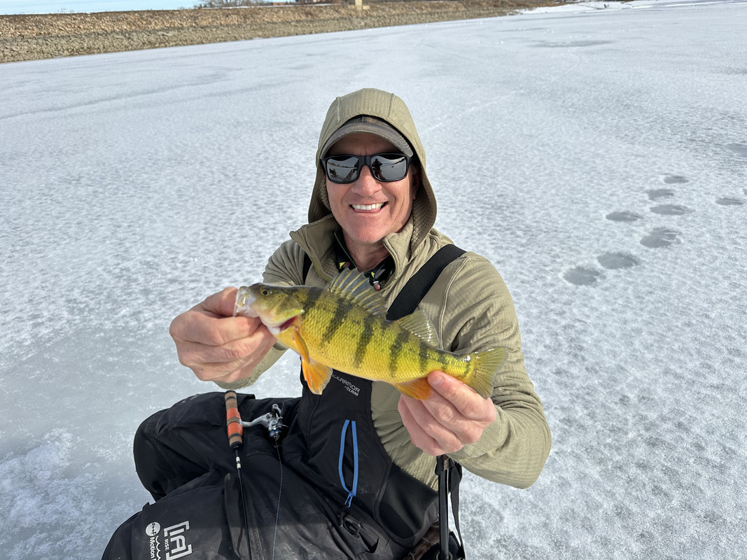 0AA01260-4578-4681-AF8C-2FECF57B03B3