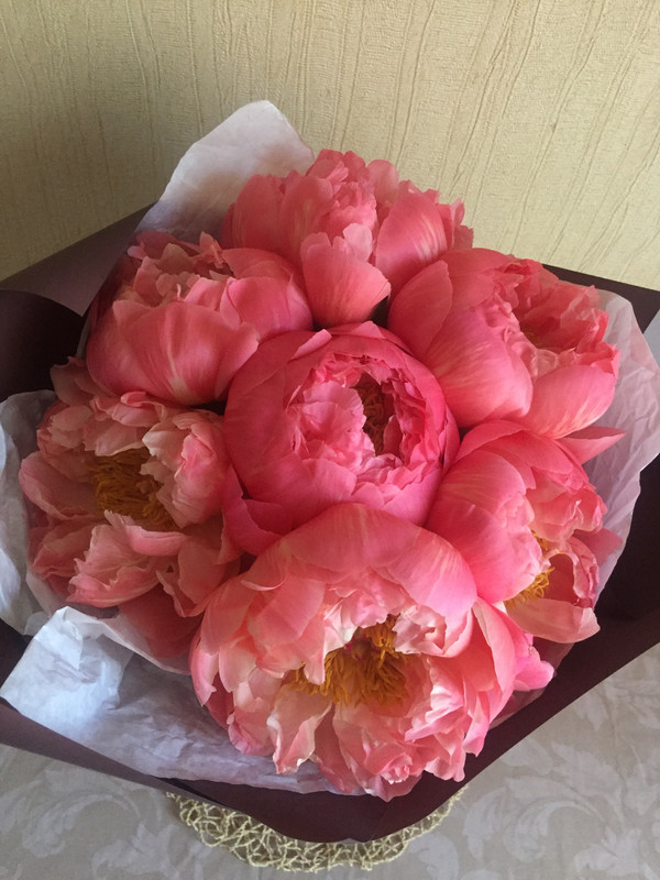 C6CDF2A5-0C9B-4022-9DCD-D886B8F85EC6