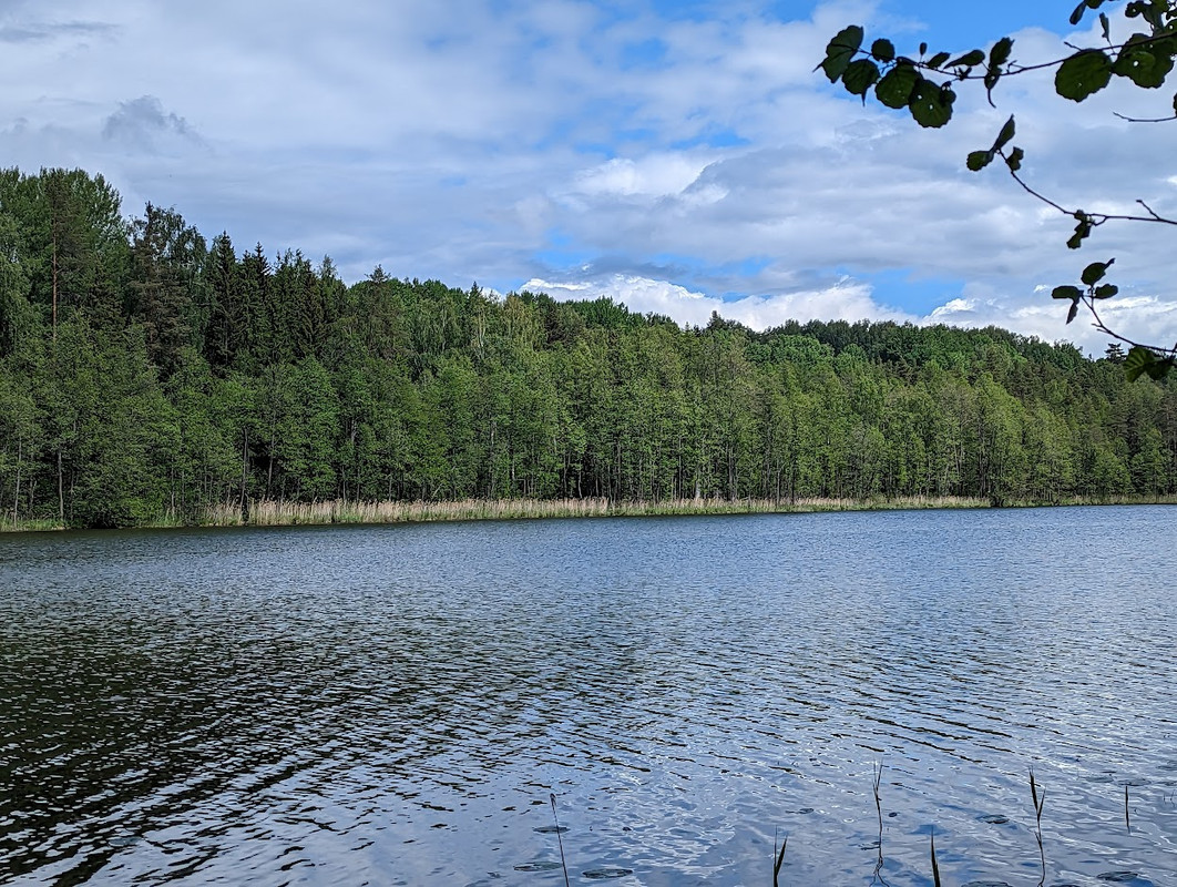 PXL_20230603_095821317