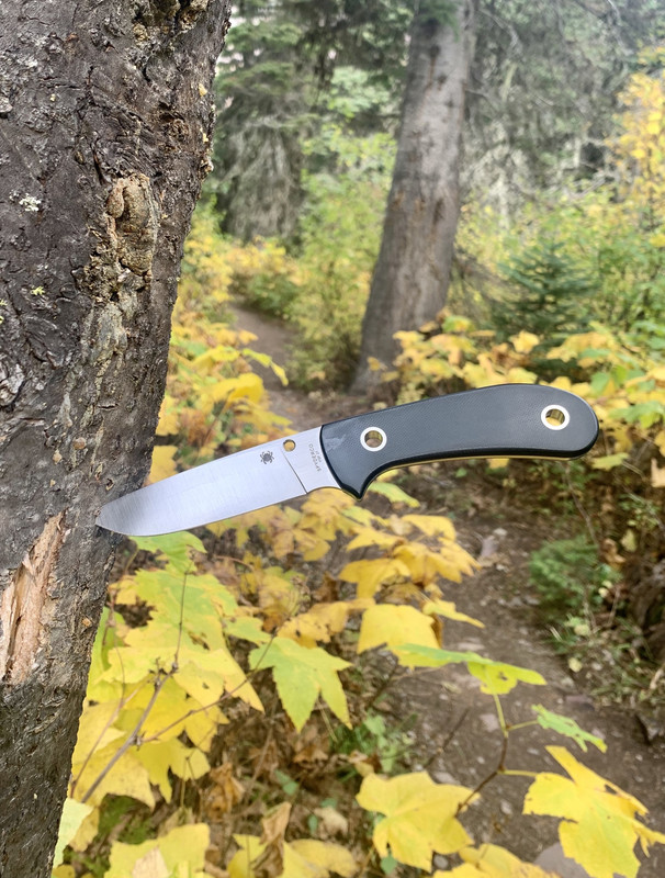 0DBD3D8C-4915-45BE-A981-601747E9B251