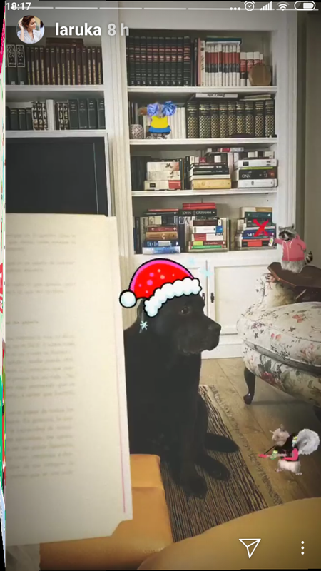 Screenshot_2018-12-25-18-17-57-991_com.instagram.android