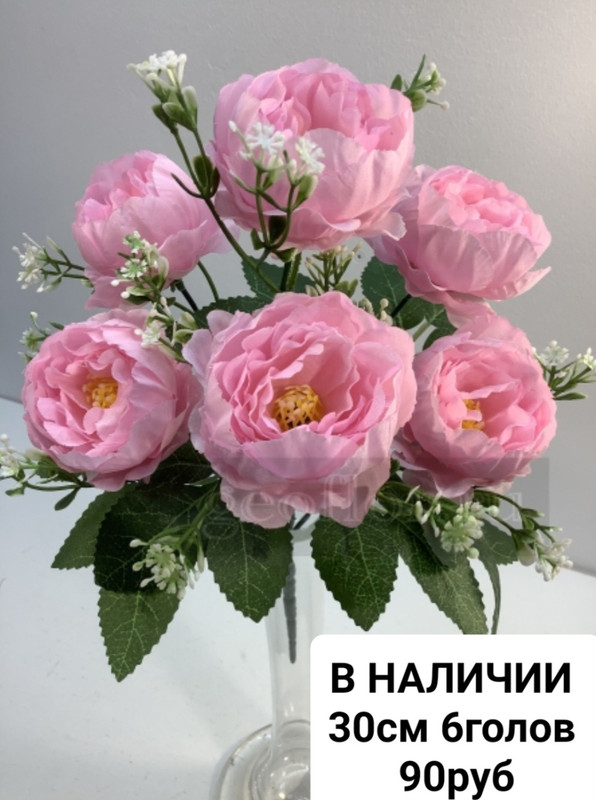 https://i.postimg.cc/8kXm5gF0/Screenshot-20240409-083332-Chrome.jpg