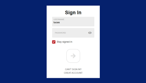 Validador de login e senha